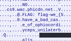 UDP Stream showing flag