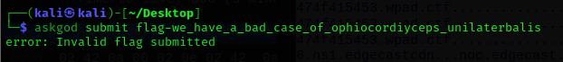 Additional packet screenshot