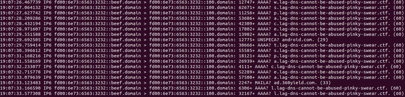 DNS Packet Example
