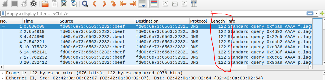 Wireshark Filtered