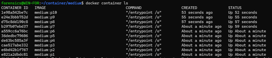 Medium Container